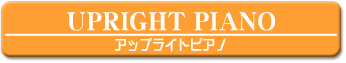 �A�b�v���C�g�s�A�m�����^��